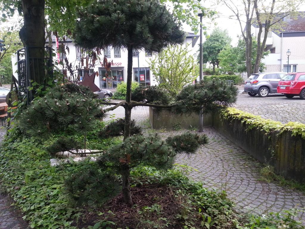 Gasthof Altes Farmhaus Und Apartment Lienen ภายนอก รูปภาพ